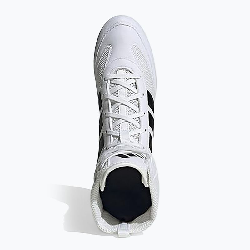 Кросівки боксерські adidas Box Hog Classic white 5