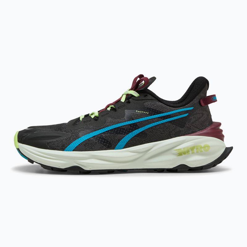 Кросівки для бігу чоловічі PUMA Fast-Trac Nitro 3 puma black/sage frost/ruby shimmer