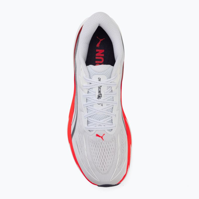Кросівки для бігу чоловічі Puma Velocity Nitro 5 puma white/ultra red 5