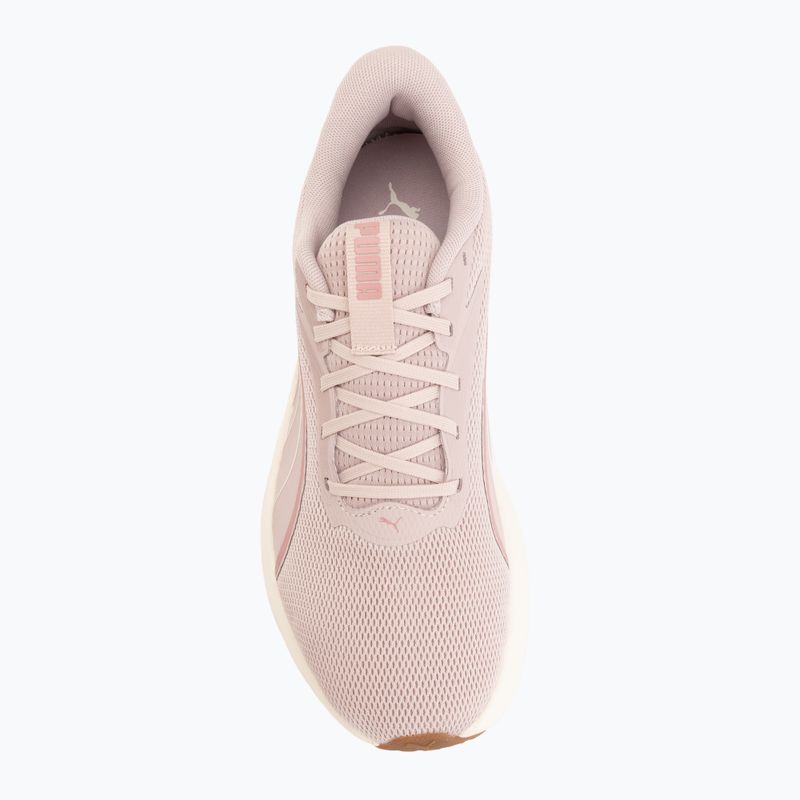 Кросівки для бігу Puma MaxStride Lite puma black/dusky rsewood 5