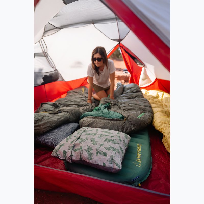 Спальний мішок Therm-a-Rest Rest Questar 0C R balsam 6