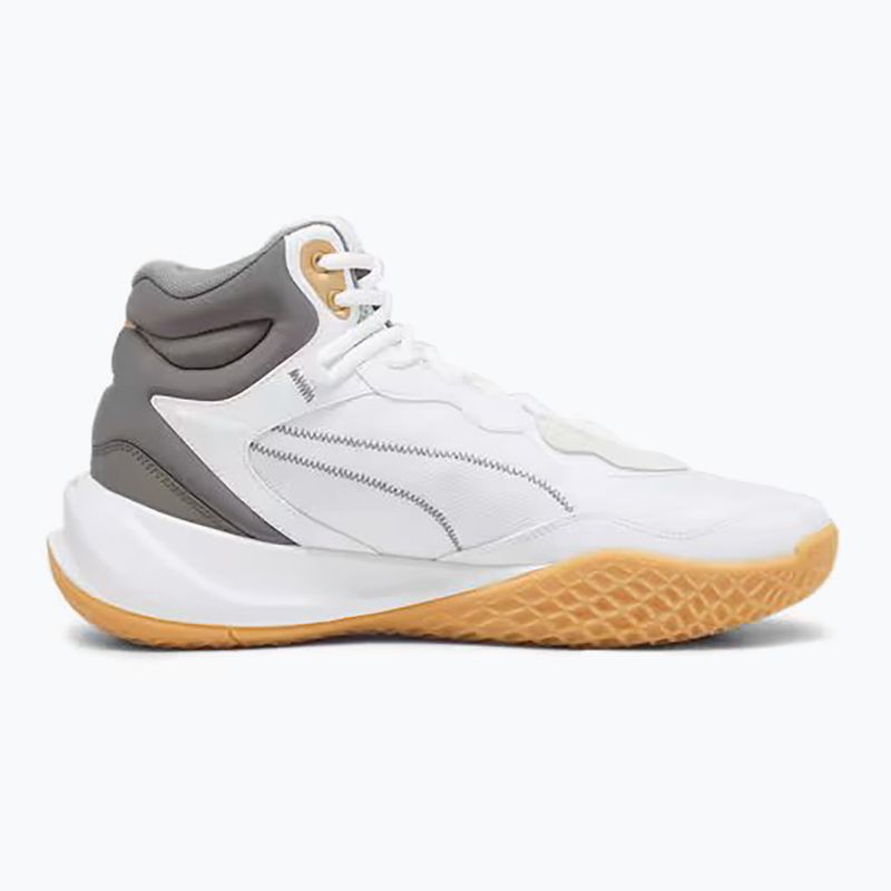 Кросівки для баскетболу чоловічі PUMA Playmaker Pro Mid Trophies ash gray/cast iron/puma gold 9