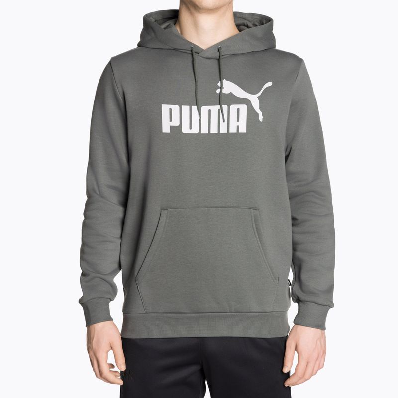 Чоловіче худі PUMA Essentials Big Logo Hoodie FL мінерально-сірий