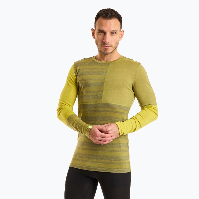 Чоловічий термолонгслив ORTOVOX 185 Rock'N'Wool sweet alison