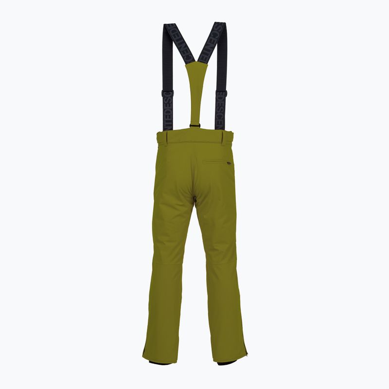Штани гірськолижні чоловічі Descente Roscoe olive green 2
