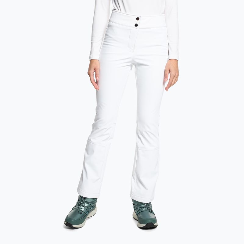 Штани гірськолижні чоловічі Descente Jacey super white