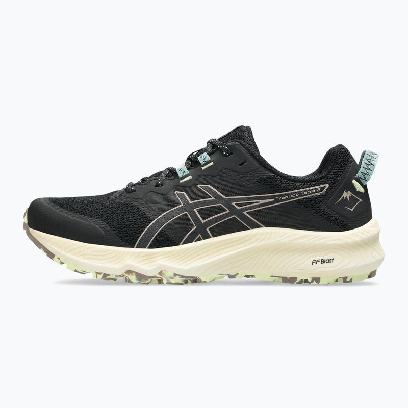 Кросівки для бігу чоловічі ASICS Trabuco Terra 2 black/taupe grey 9