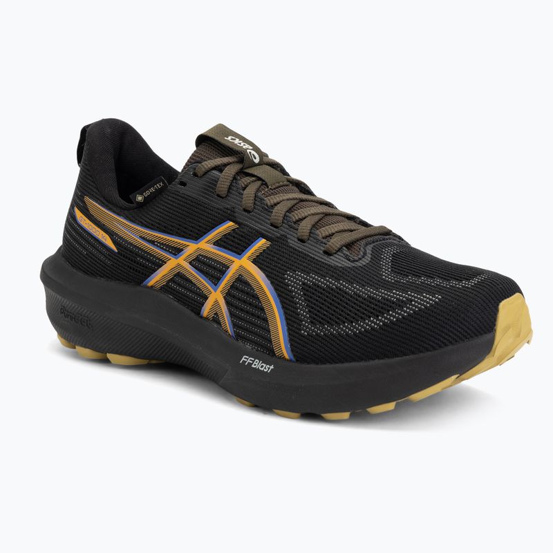 Кросівки для бігу чоловічі ASICS GT-1000 14 GTX black/dark cobalt