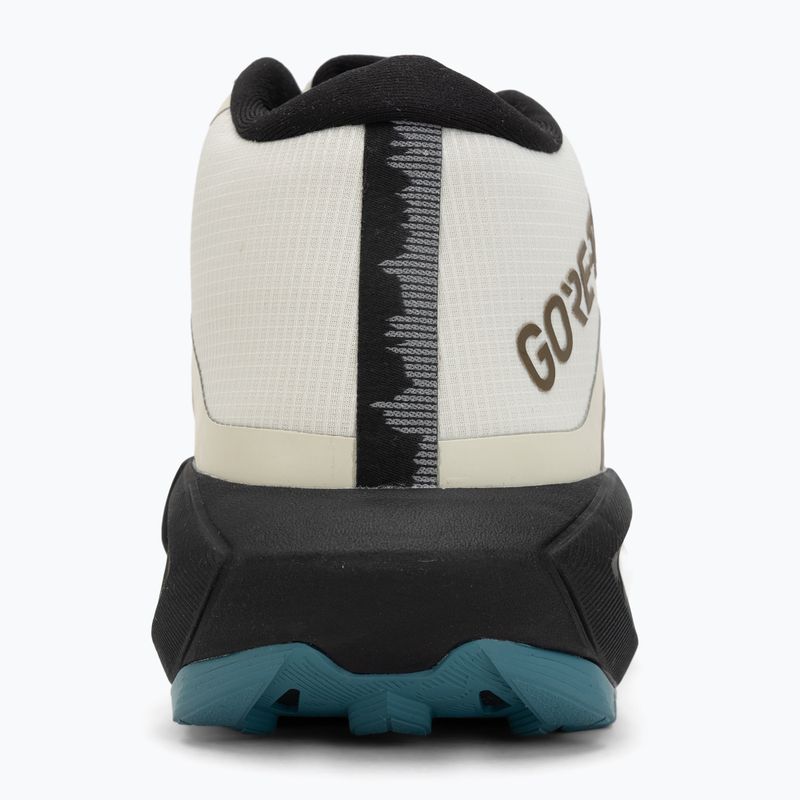 Кросівки для бігу чоловічі ASICS Gel-Trabuco MT GTX clay canyon/spice latte 6