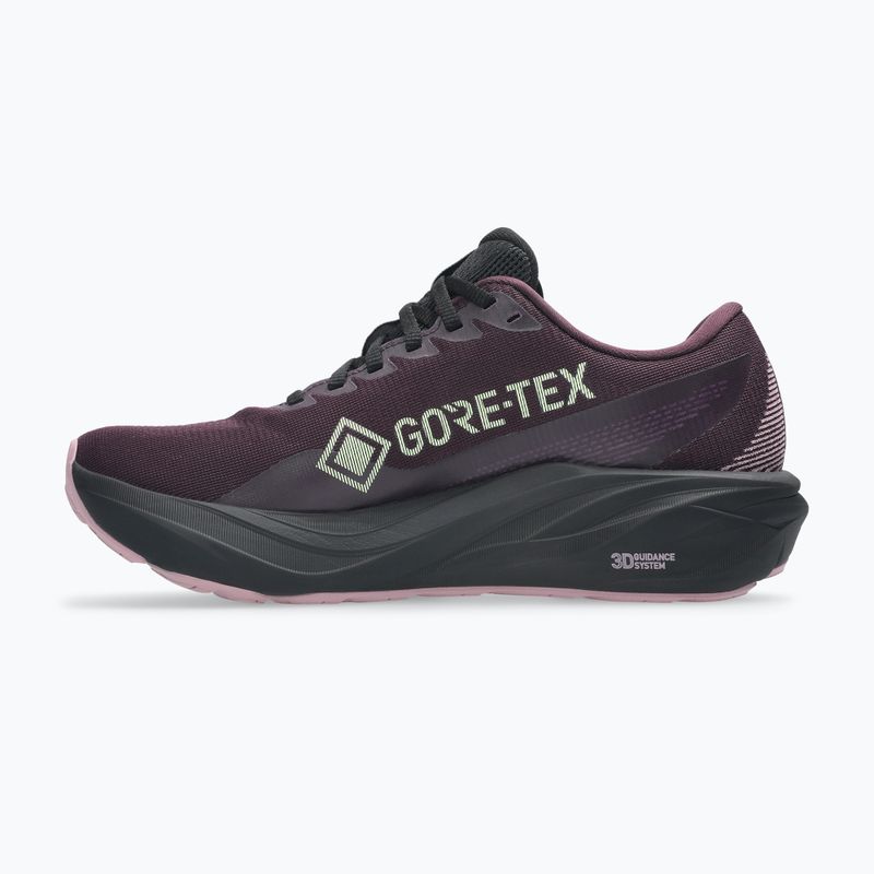 Жіночі бігові кросівки ASICS GT-2000 15 GTX темний баклажан/чорний 2
