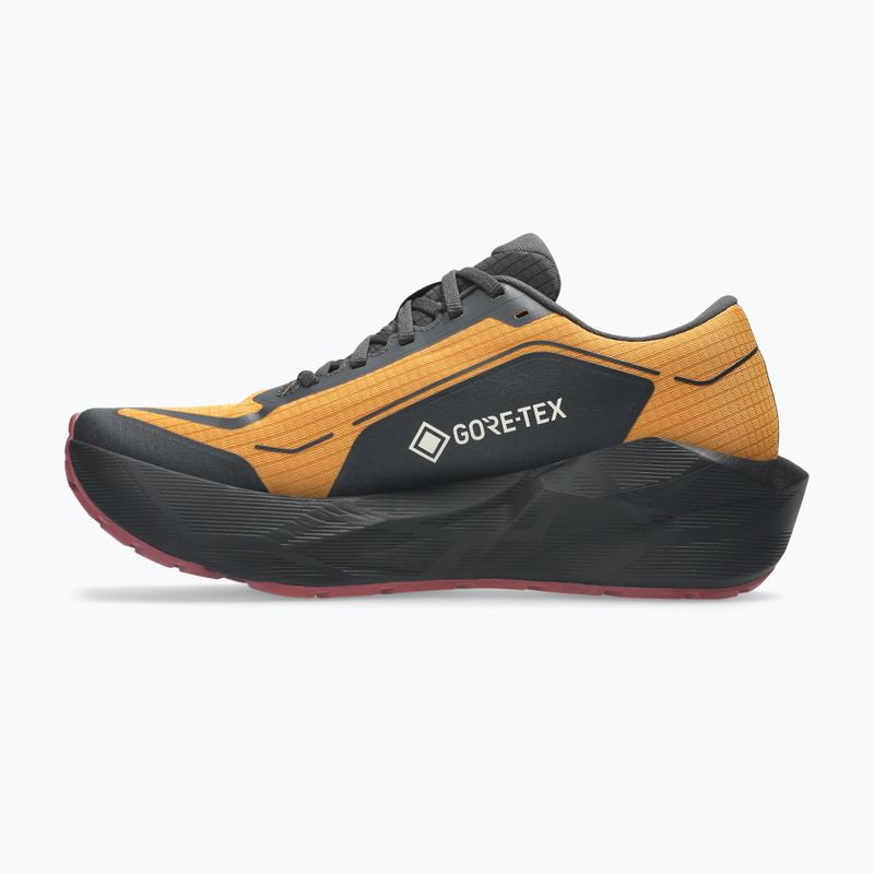 Кросівки для бігу чоловічі ASICS Novablast 6 GTX sandstorm/black 3