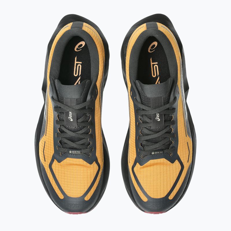 Кросівки для бігу чоловічі ASICS Novablast 6 GTX sandstorm/black 6