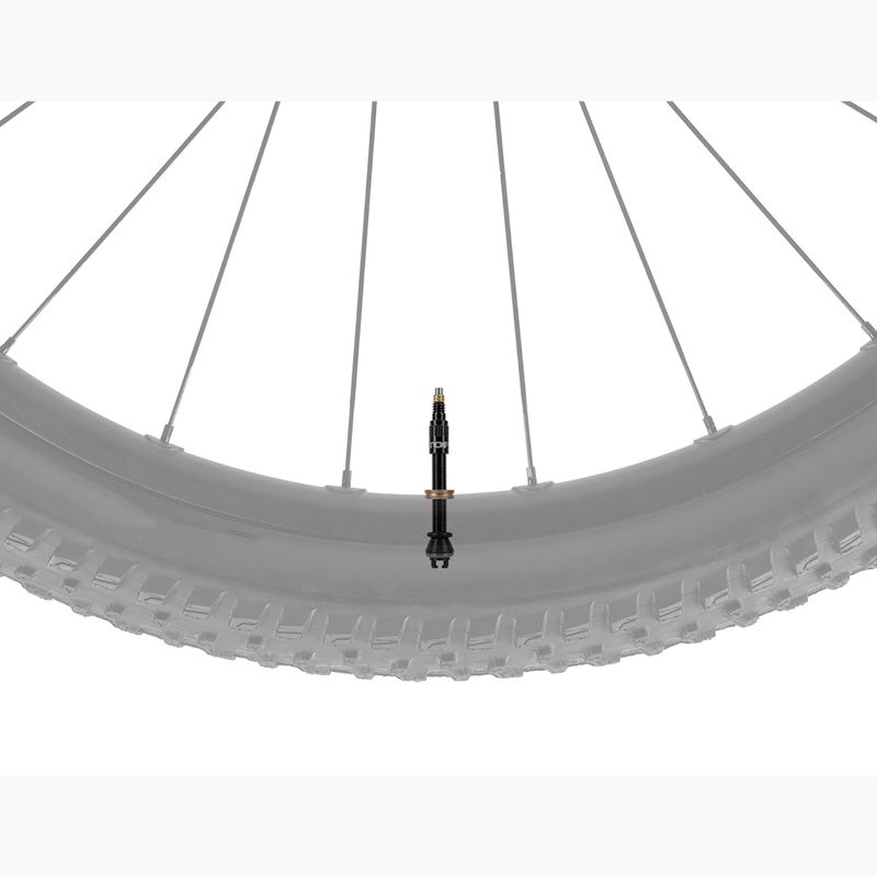 Набір вентилів Topeak Turboflow Valve Kit 60 мм black 2