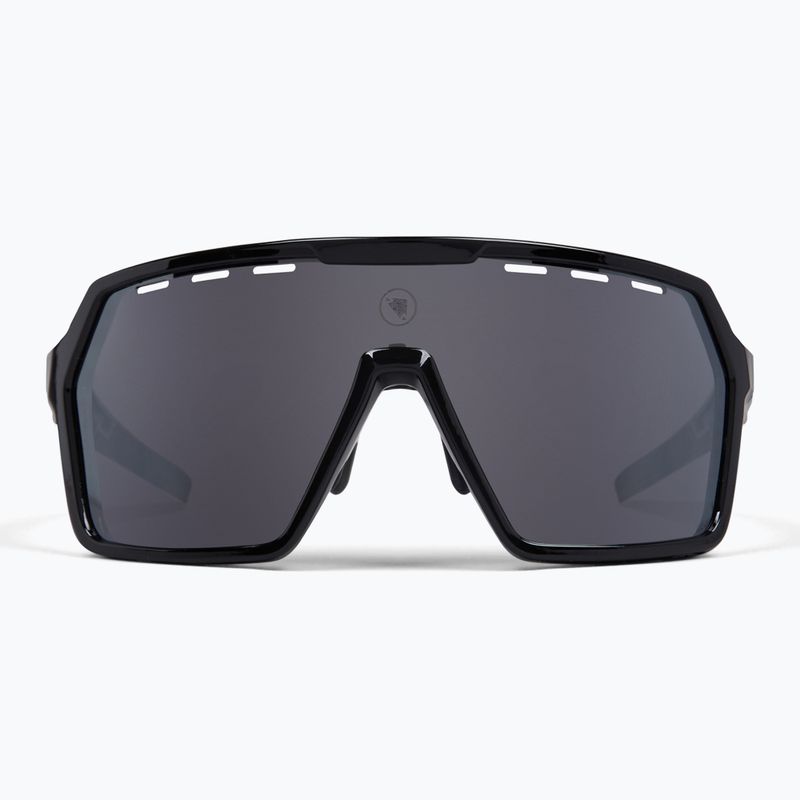 Окуляри сонцезахисні Endura Singletrack black/platinum revo smoke/clear silver flash mirror
