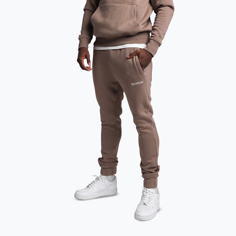 Штани чоловічі Boxraw Johnson mocha 4