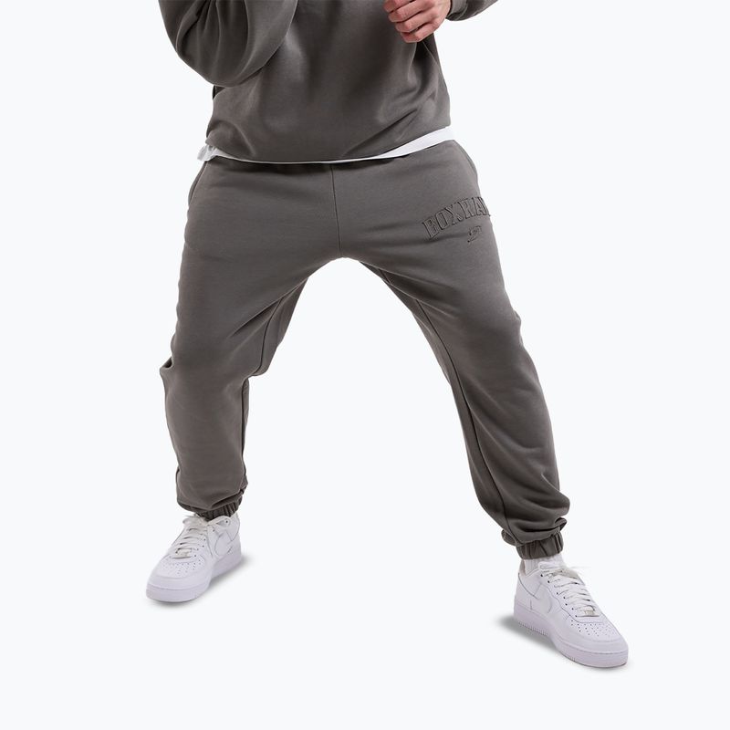 Штани чоловічі Boxraw East Street Bottoms distressed grey 4