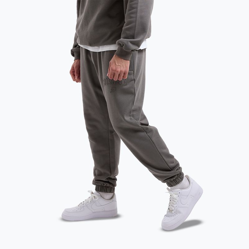 Штани чоловічі Boxraw East Street Bottoms distressed grey 5