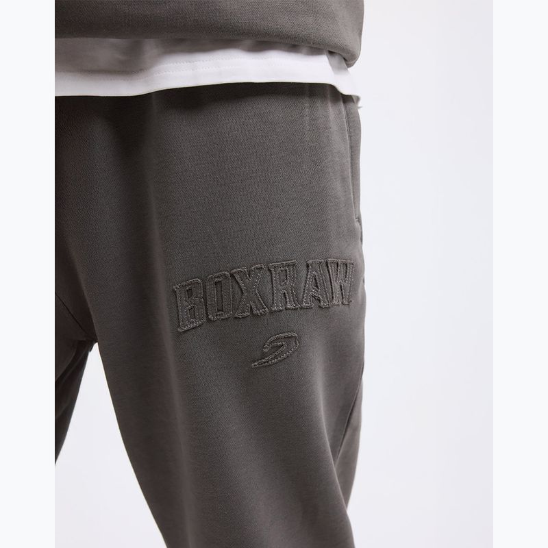 Штани чоловічі Boxraw East Street Bottoms distressed grey 10