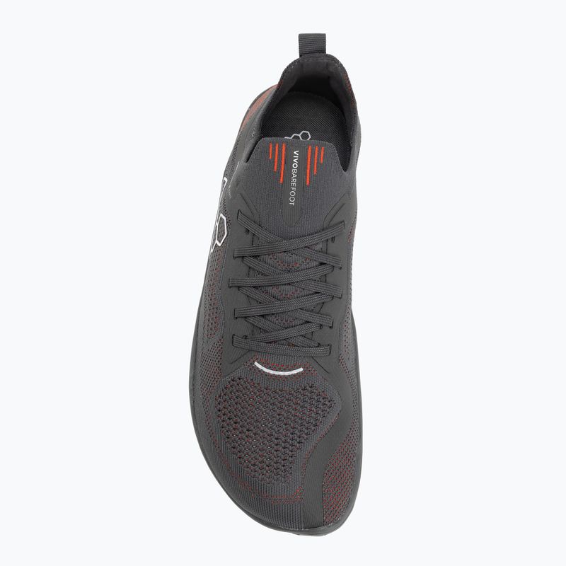 Кросівки barefoot чоловічі Vivobarefoot Primus Lite Knit obsidian/cherry tomato 5