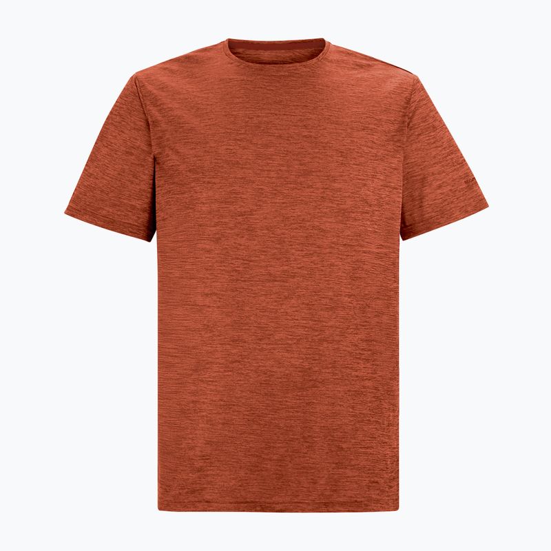 Футболка трекінгова чоловіча REGATTA Fingal Edition rusty orange 5