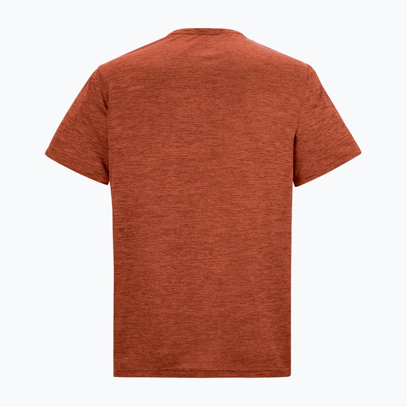 Футболка трекінгова чоловіча REGATTA Fingal Edition rusty orange 6