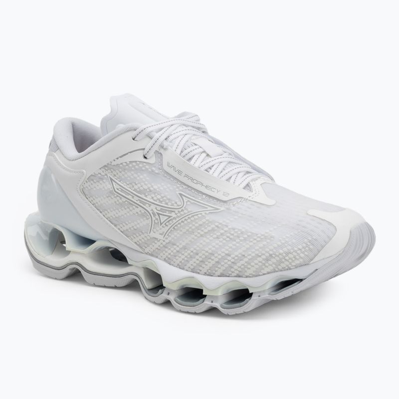 Кросівки для бігу жіночі Mizuno Wave Prophecy 12 white/silver