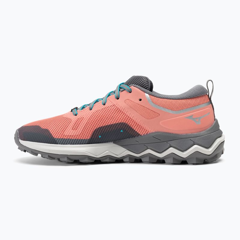 Кросівки для бігу жіночі Mizuno Wave Ibuki 4 GTX lantana/quiet shade/buebird 10