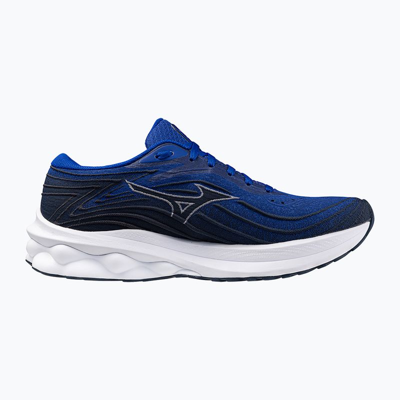 Кросівки для бігу чоловічі Mizuno Wave Skyrise 5 surf the web/ white/ india ink 9