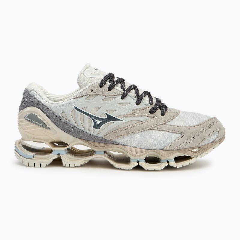 Кросівки Mizuno Wave Prophecy LS nimbus cloud/magnet/silver cloud 2