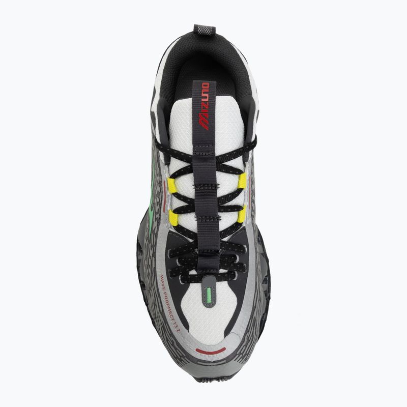 Кросівки Mizuno Wave Prophecy 13.2 quiet shade/vibrant green 5