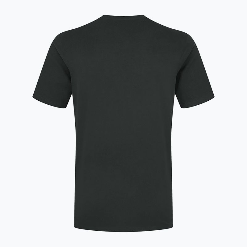 Чоловіча футболка Rab Stance Logo Beluga/Polien 2