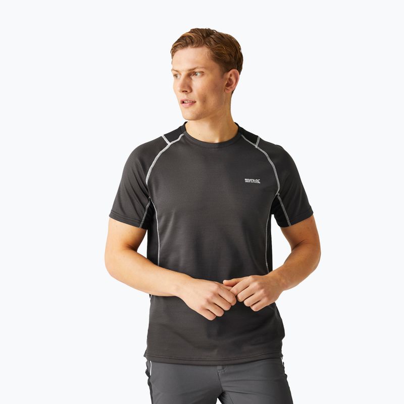Футболка чоловіча REGATTA Virda IV ash/black