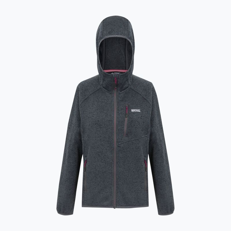 Кофта флісова жіноча REGATTA Newhill II seal grey/pop 7