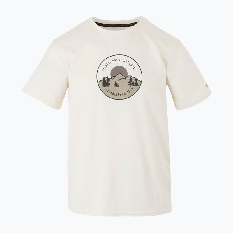 Футболка трекінгова чоловіча REGATTA Fingal IX stone white 5