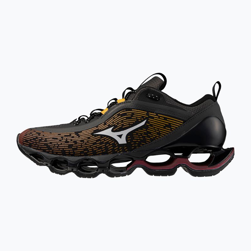 Взуття Mizuno Wave Prophecy 13.2 Henna/Cloudscape/Black Oyster 2