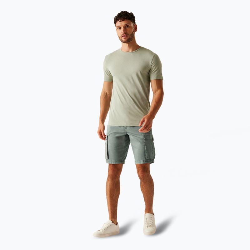 Шорти трекінгові чоловічі REGATTA Shorebay II storm grey 2