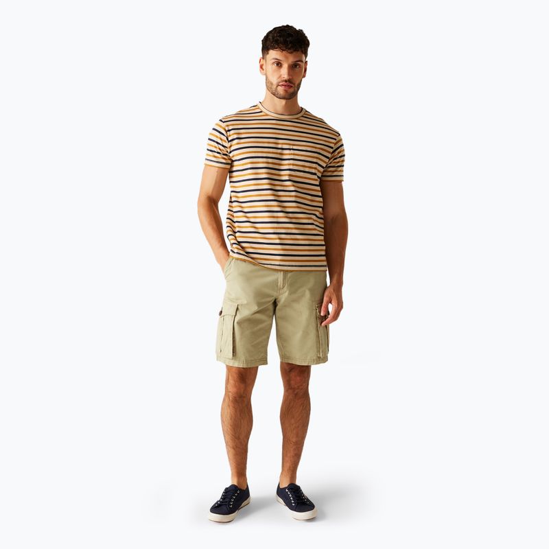 Шорти трекінгові чоловічі REGATTA Shorebay II white pepper 2
