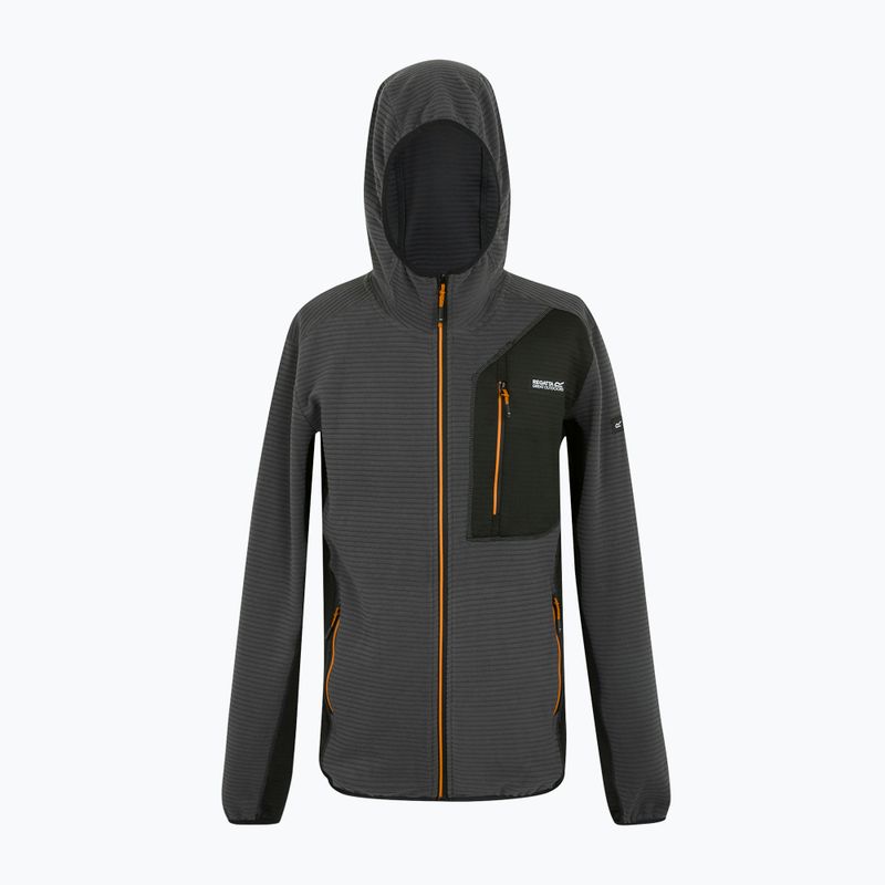 Кофта чоловіча REGATTA Lakewright ash/black 7