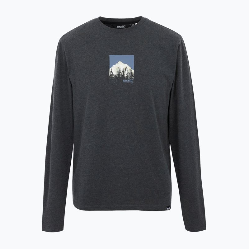 Футболка чоловіча REGATTA Maylow black 5