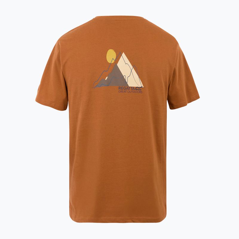Футболка чоловіча REGATTA ClineIX glazedginge 6