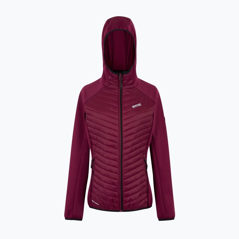Куртка гібридна жіноча REGATTA Andreson Hybrid dark pimento 5