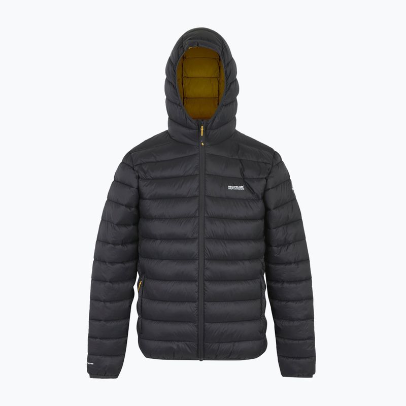 Чоловіча куртка REGATTA Hooded Marizion ash/gold 8