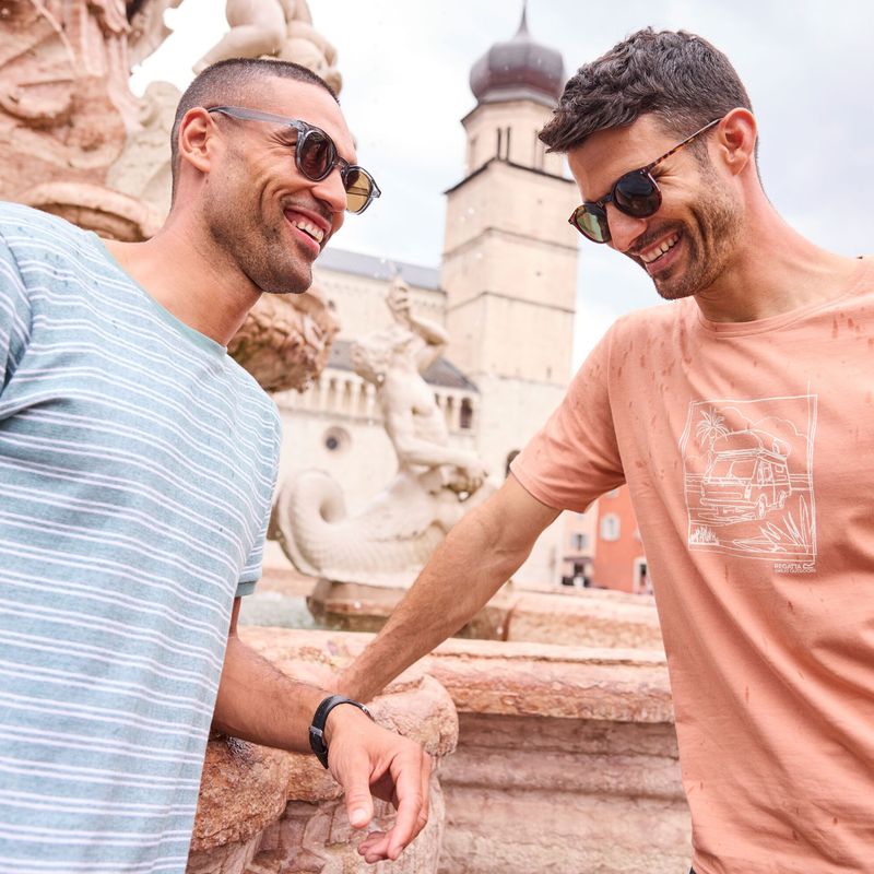 Футболка чоловіча Regatta ClineIX Italian clay 9