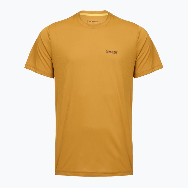 Чоловіча трекінгова футболка REGATTA Mindoi Anti Insect wood brown