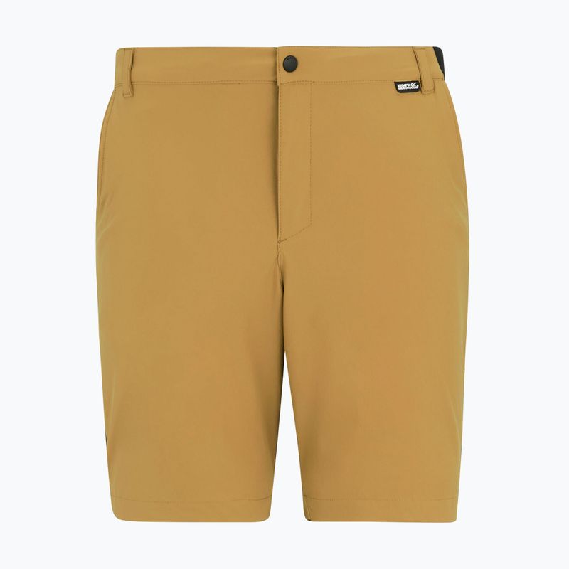 Шорти трекінгові чоловічі REGATTA Anti Insect Travel Light wood brown 5