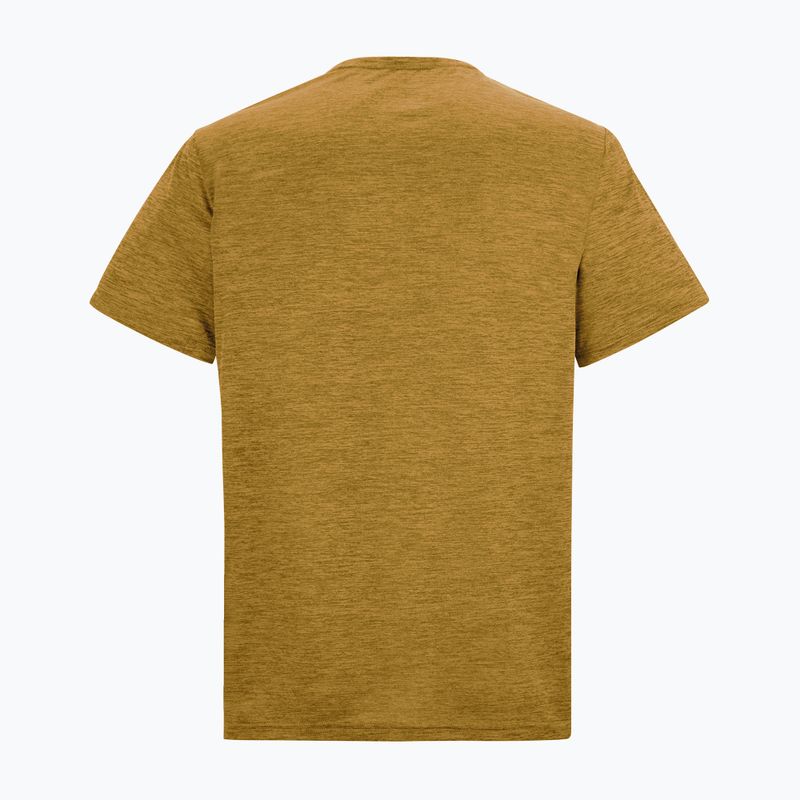 Футболка трекінгова чоловіча REGATTA Fingal Edition wood brown 6