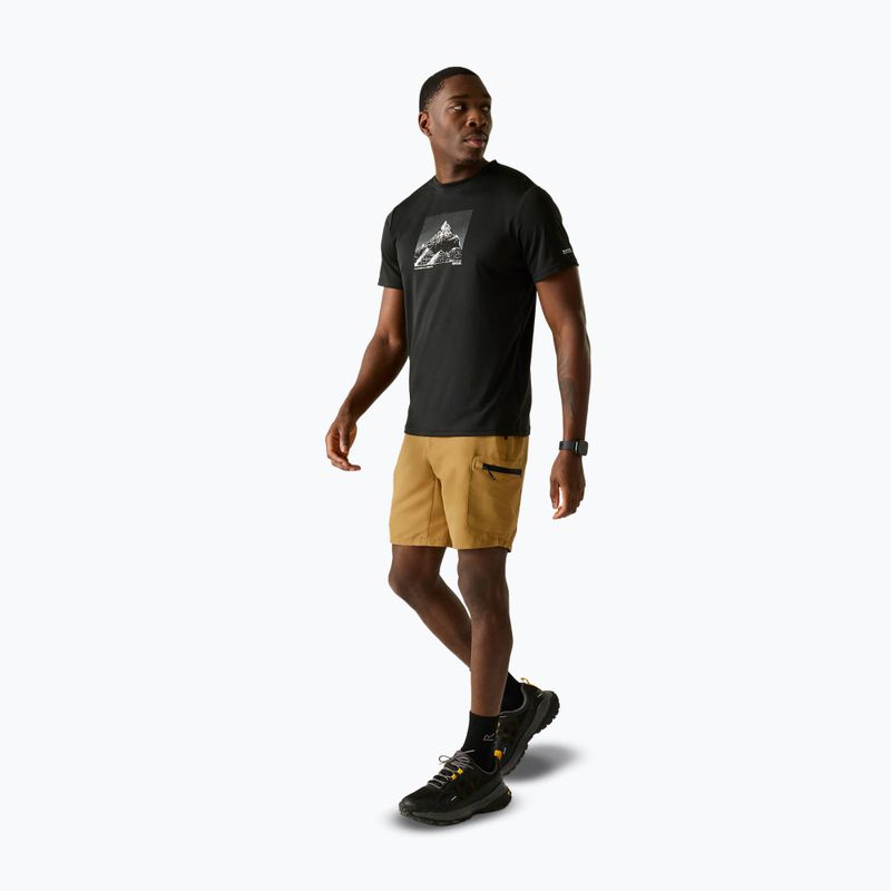 Шорти трекінгові чоловічі REGATTA Leesville III wood brown 2