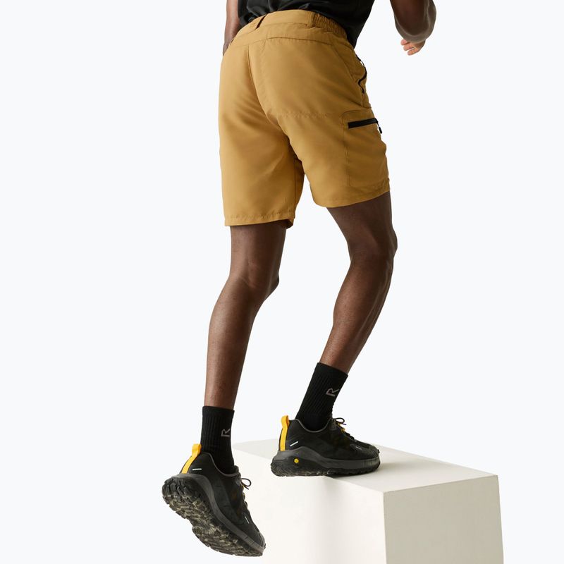 Шорти трекінгові чоловічі REGATTA Leesville III wood brown 4