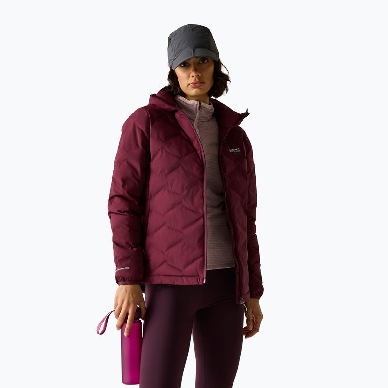 Куртка утеплена жіноча REGATTA Deyla fig 5