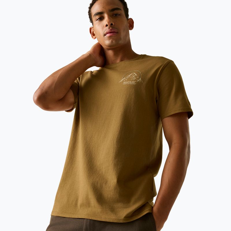 Футболка чоловіча Regatta ClineIX rich tan original outdoor 4